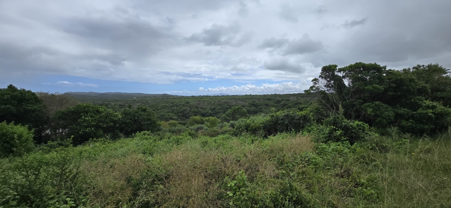 0 Bedroom Property for Sale in Oyster Bay Eastern Cape